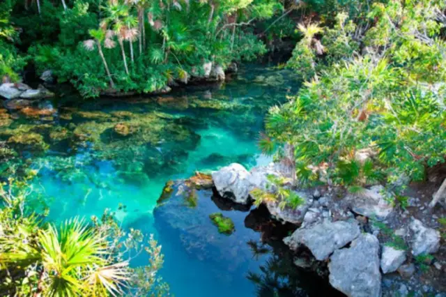 Hermosos parques naturales en México para descubrir y amar