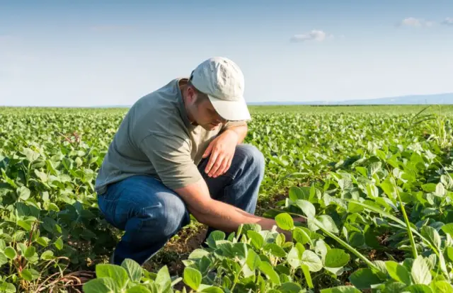 Día del Ingeniero Agrónomo y otras efemérides del 22 de febrero