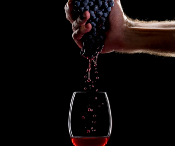 Cómo elaborar vino en casa - Chile