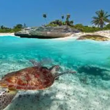 Qué hacer un fin de semana en Playa del Carmen