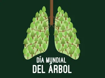 Día Mundial del Árbol: ¿Cómo se Conmemora en México?